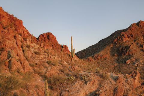具有沙漠背景自然景观的岩山