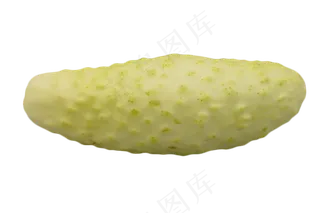 绿色蔬菜苦瓜