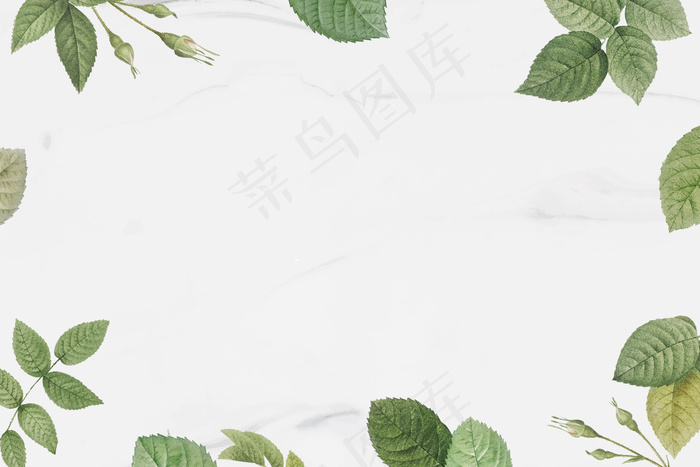 绿叶架eps,ai矢量模版下载