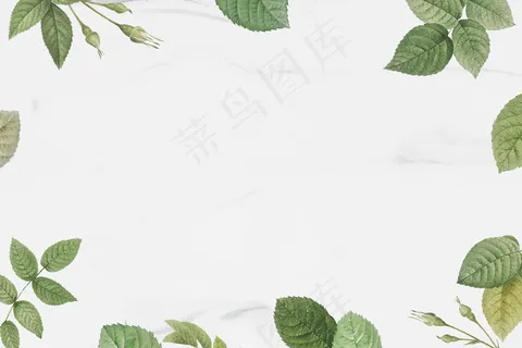 绿叶架 绿叶架