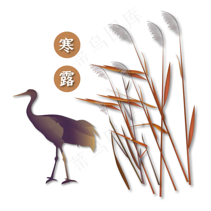 中国传统节气寒露装饰(2000*2000px 300 dpi )ai矢量模版下载