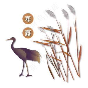 中国传统节气寒露装饰