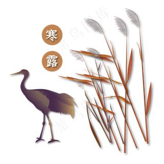 中国传统节气寒露装饰