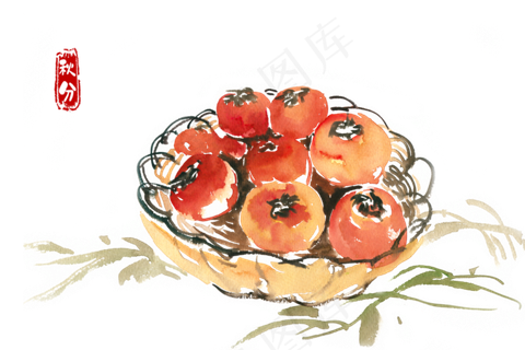 秋分熟透的柿子