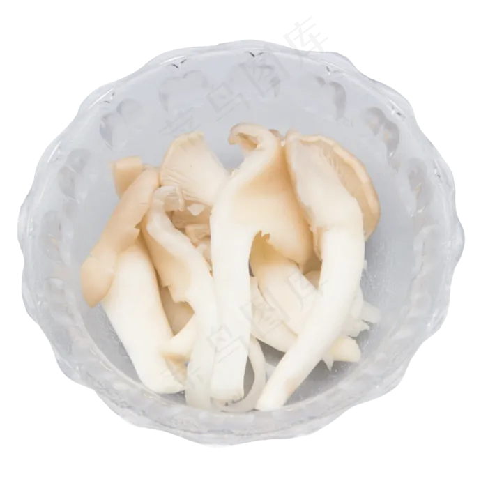 菌类蔬菜平菇(2500*2500px 300 dpi )