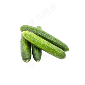 有机蔬菜黄瓜