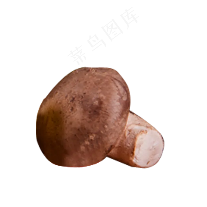 灰色圆弧蘑菇食物元素(2000X2000(DPI:300))psd模版下载