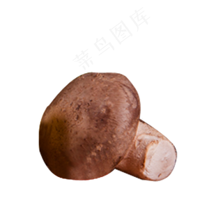 灰色圆弧蘑菇食物元素