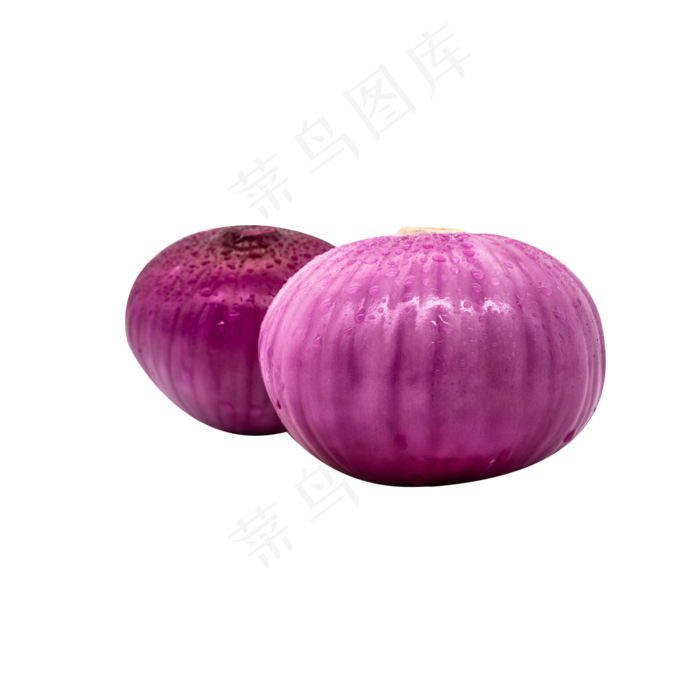 美味蔬菜洋葱(2000X2000(DPI:299))