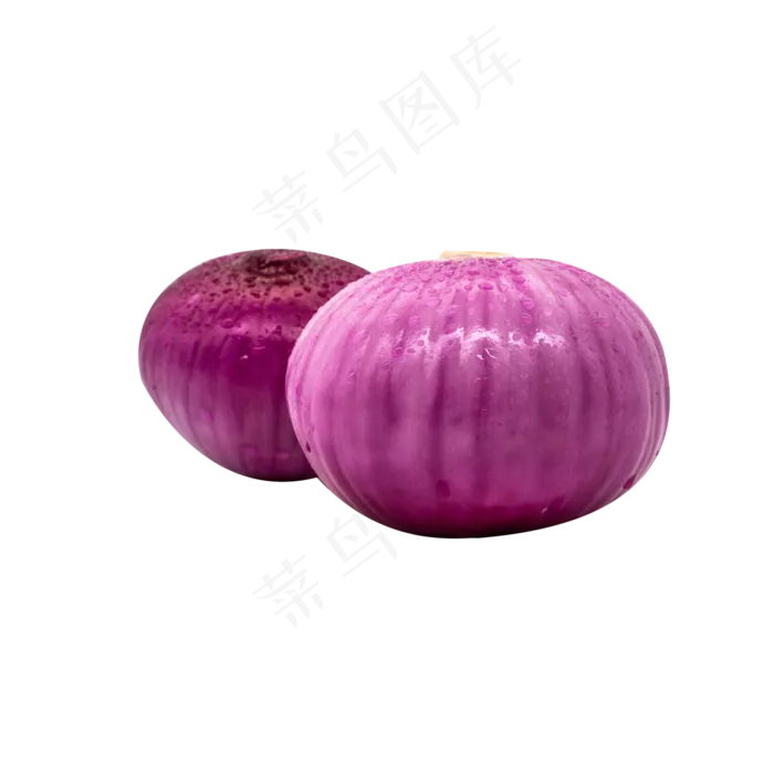 美味蔬菜洋葱(2000X2000(DPI:299))