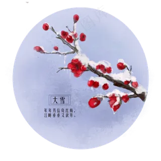 古风手绘二十四节气大雪雪中梅免