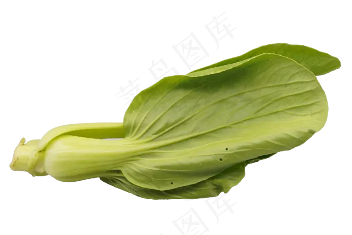 绿色蔬菜油菜(2000X2000(DPI:300))