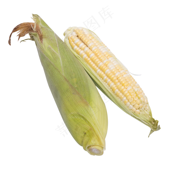 黄白色玉米