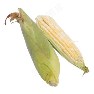 黄白色玉米
