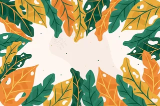 抽象热带树叶背景