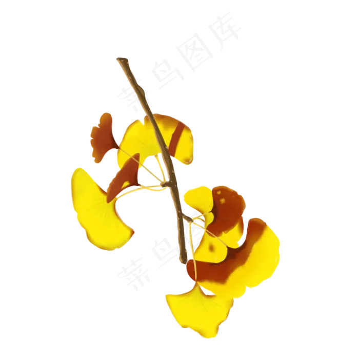 银杏枝条免抠素材(2000X2000(DPI:300))psd模版下载