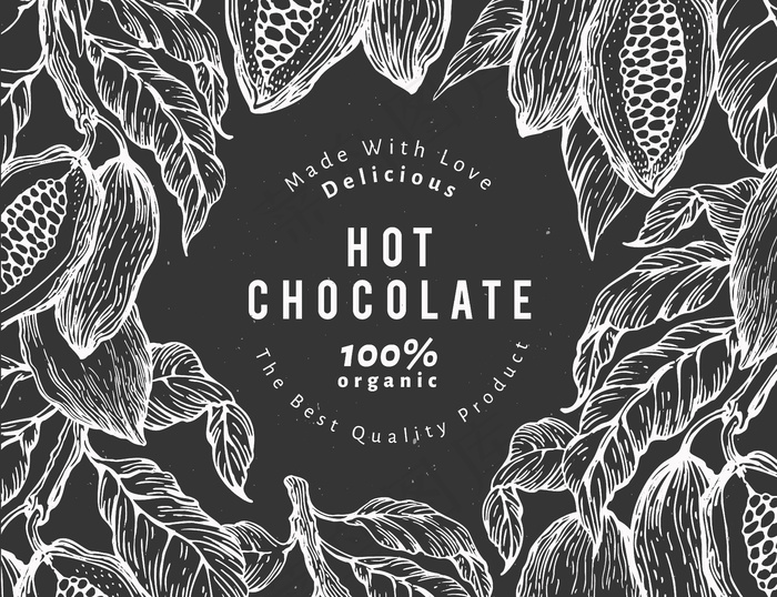 手绘可可设计模板。矢量可可植物插图在黑板上。复古天然巧克力背景