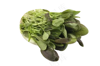 一盘菠菜