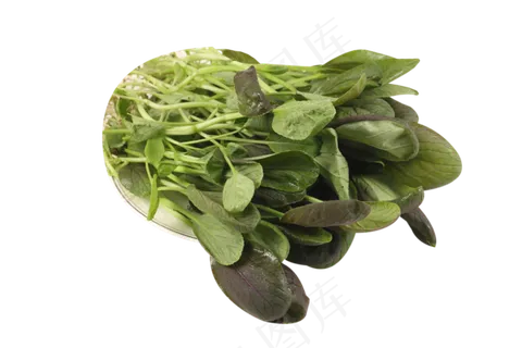 一盘菠菜 一盘菠菜
