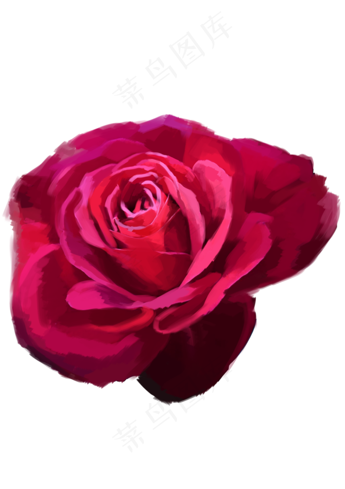 粉色玫瑰花(2480X3508(DPI:300))psd模版下载