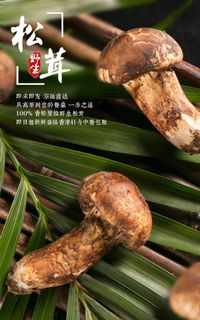 美食宣传设计展板