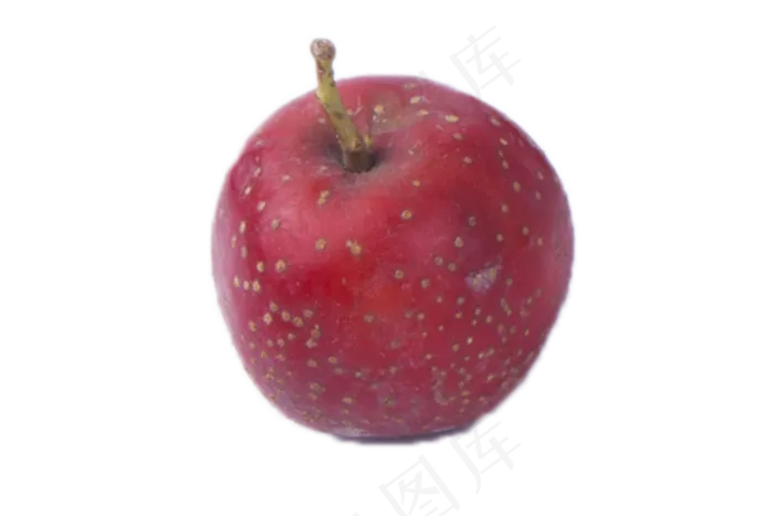 酸甜清脆的大山楂(2000X1333(DPI:240))psd模版下载