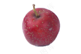 酸甜清脆的大山楂