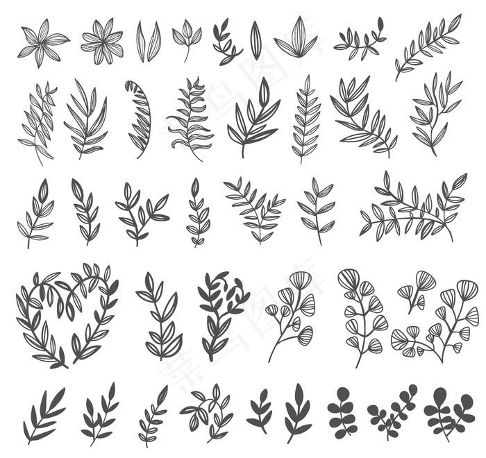 叶绿线。用于徽标和打印。