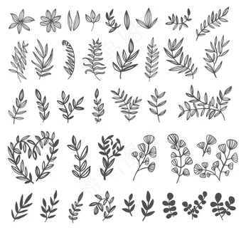 叶绿线。用于徽标和打印。