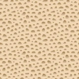 骨海绵结构,骨结构矢量无缝模式。海绵骨,药用海绵插画 骨海绵结构,骨结构矢量无缝模式。海绵骨,药用海绵插画