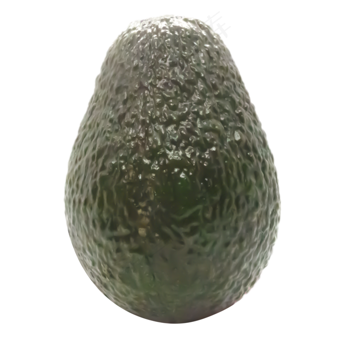 健康水果牛油果