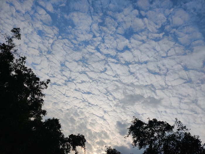 蓝蓝的天空、白云