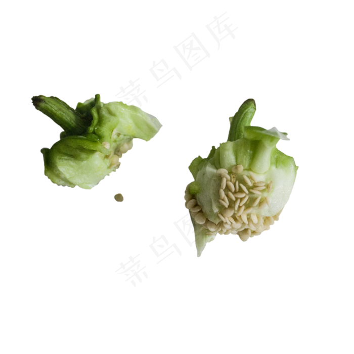 废弃的辣椒籽(2000X2000(DPI:300))