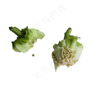 废弃的辣椒籽