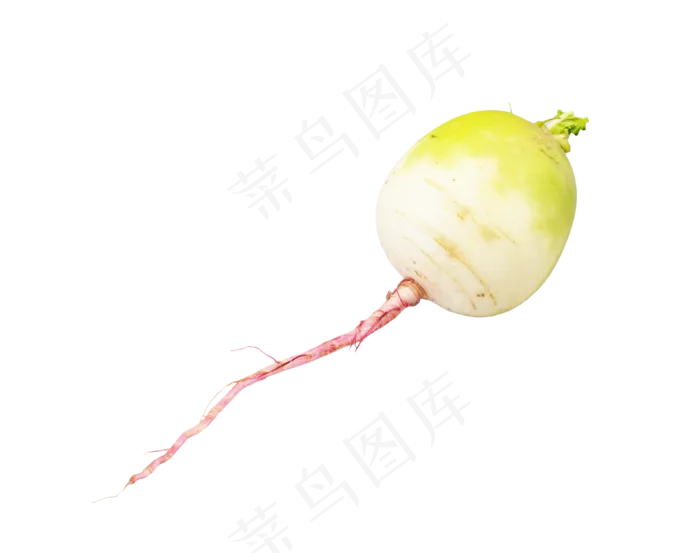 心里美萝卜(2000X2000(DPI:300))