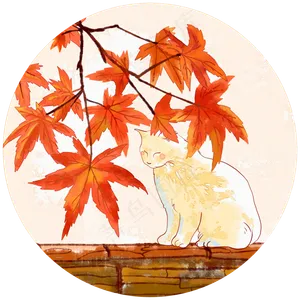 枫叶与猫