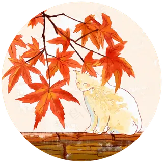 枫叶与猫 枫叶与猫