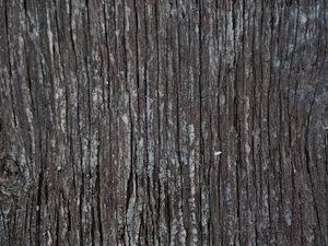 木质纹理全画框背景