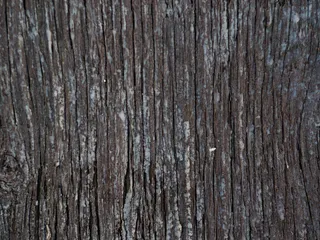 木质纹理全画框背景