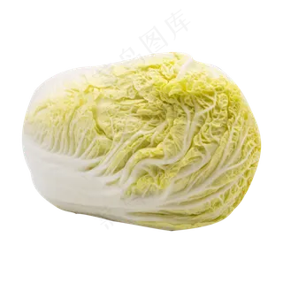 有机蔬菜白菜 有机蔬菜白菜