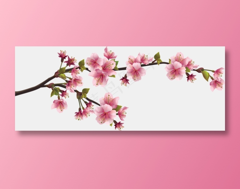 樱花开花植物免扣png