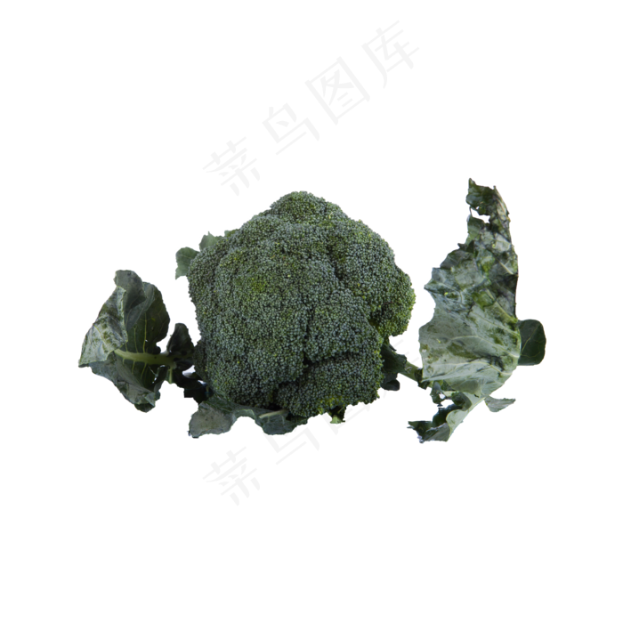 西兰花实物拍摄免抠