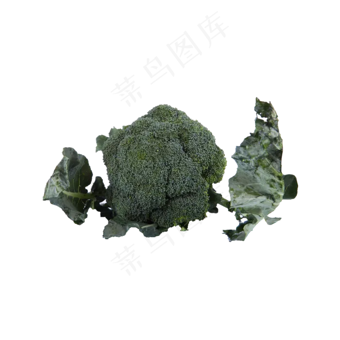 西兰花实物拍摄免抠(2000X2000(DPI:72))psd模版下载
