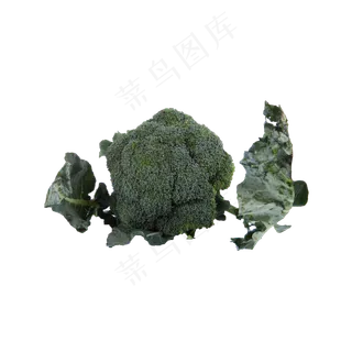 西兰花实物拍摄免抠