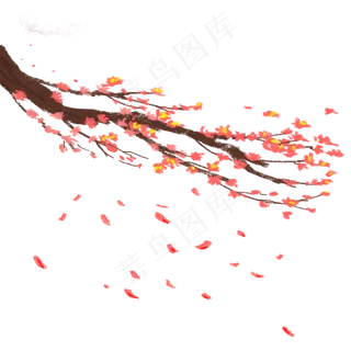 古风红色梅花和漂落的花瓣