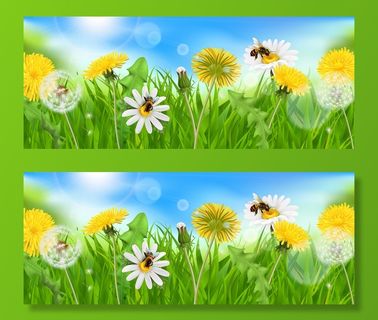 具有天空太阳光斑和具有蜜蜂和花的天然草的逼真蒲公英背景组合物