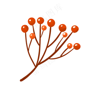 秋季红色小果子果实