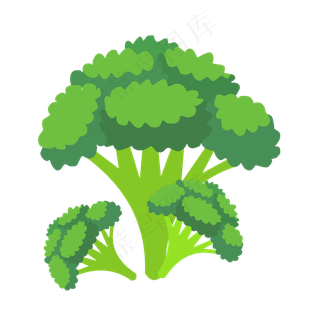 西兰花图片素材