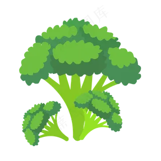 西兰花图片素材