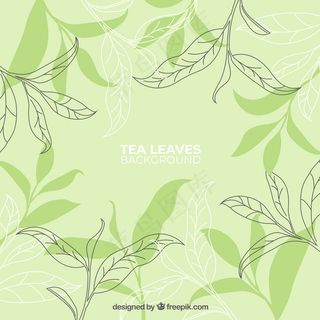 手绘茶叶背景